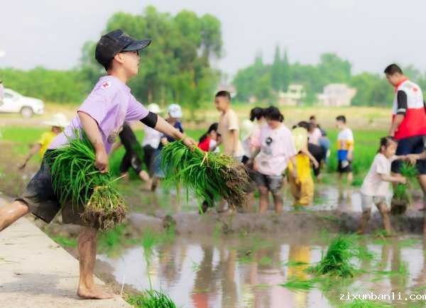 1b1大.jpg 1b1大.jpg