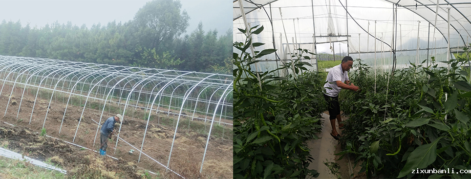 微信图片_20240911161441.png 微信图片_20240911161441.png